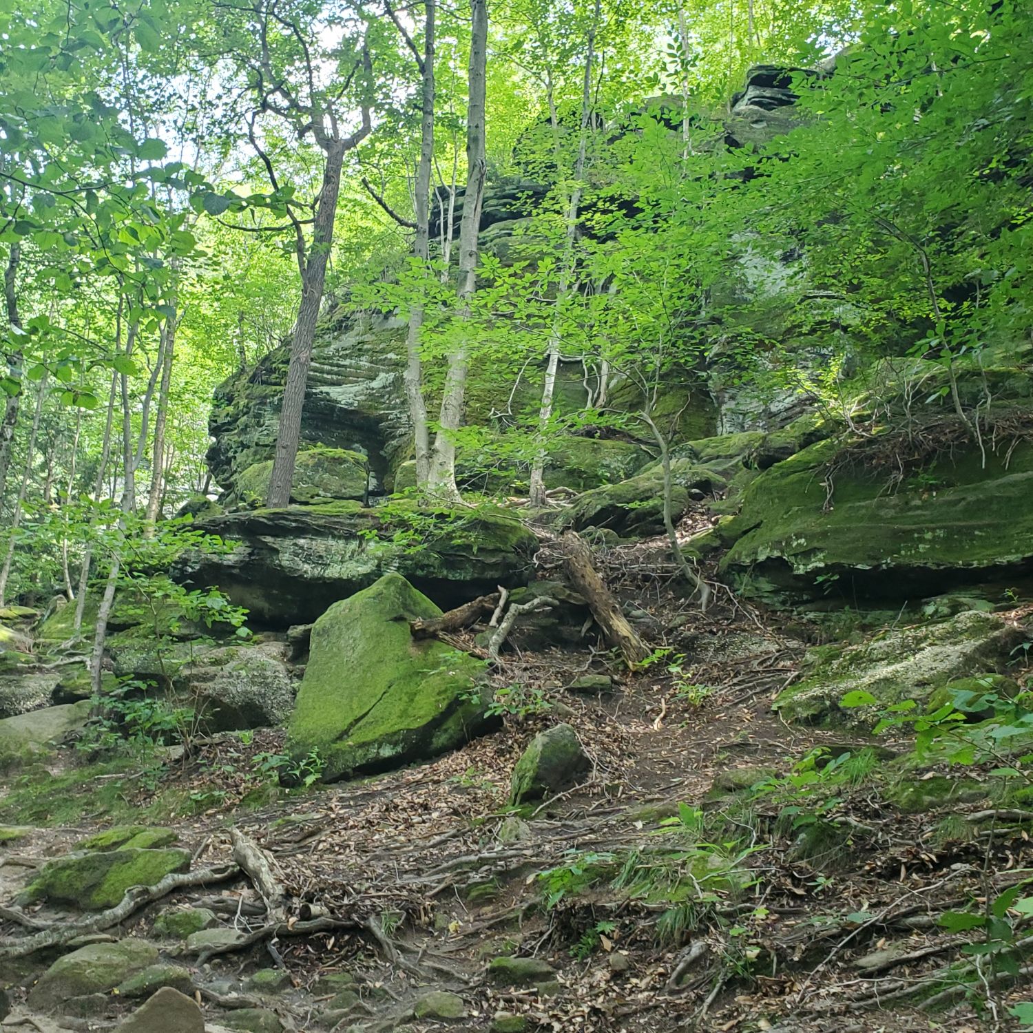 Ledges and Pine Grove Trails 